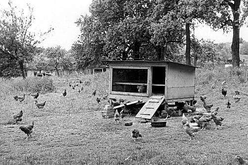 Lois Hechenblaikner : Hinter den Bergen, 2002 Lois Hechenblaikner : Hinter den Bergen, 2002